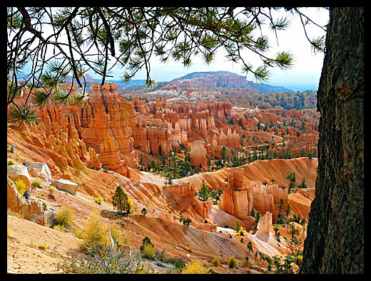 Surise point Bryce Canyon